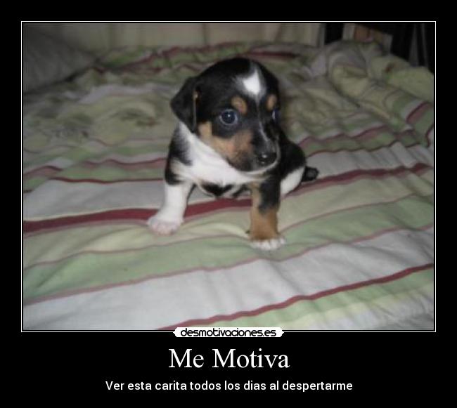 Me Motiva -