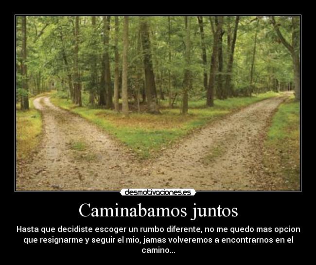 Caminabamos juntos - Hasta que decidiste escoger un rumbo diferente, no me quedo mas opcion
que resignarme y seguir el mio, jamas volveremos a encontrarnos en el
camino...