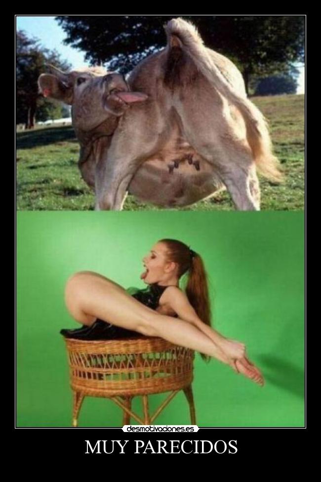 MUY PARECIDOS -