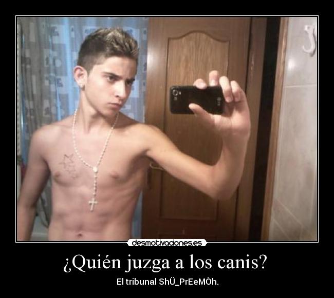 ¿Quién juzga a los canis? -