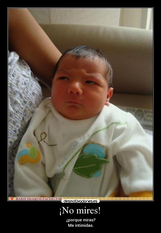 ¡No mires! - ¿porque miras?
Me intimidas.