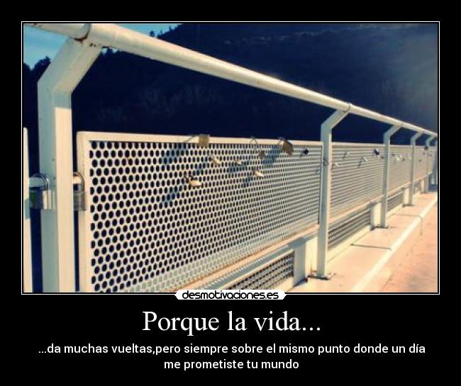 Porque la vida... -