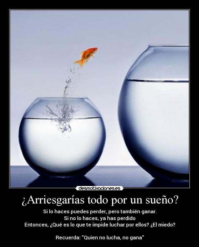 carteles sueno desmotivaciones