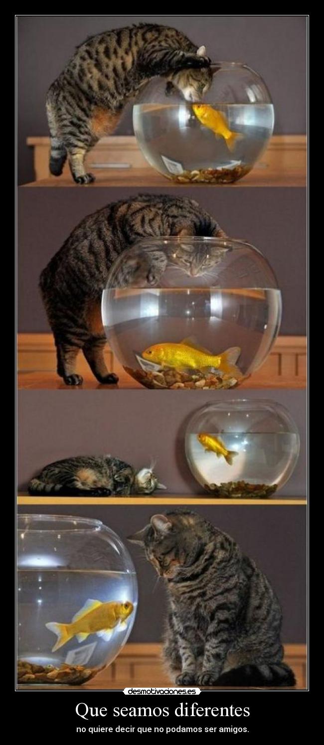 Que seamos diferentes - no quiere decir que no podamos ser amigos.