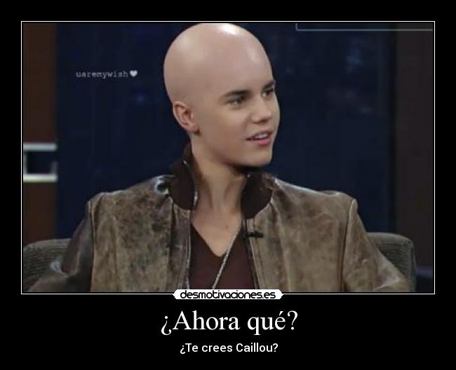 ¿Ahora qué? - ¿Te crees Caillou?