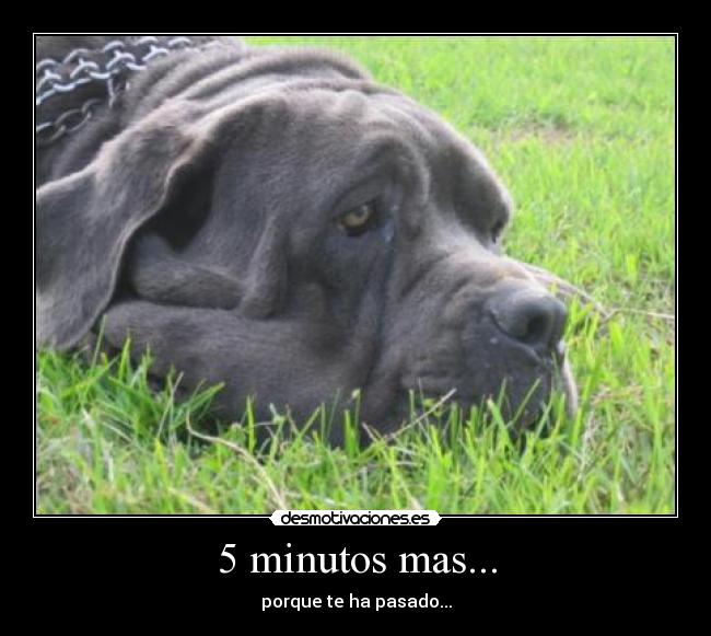 5 minutos mas... - porque te ha pasado...