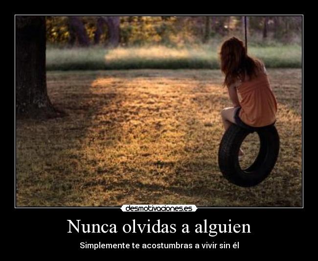 Nunca olvidas a alguien - 