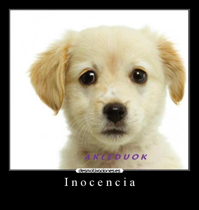 I n o c e n c i a - 