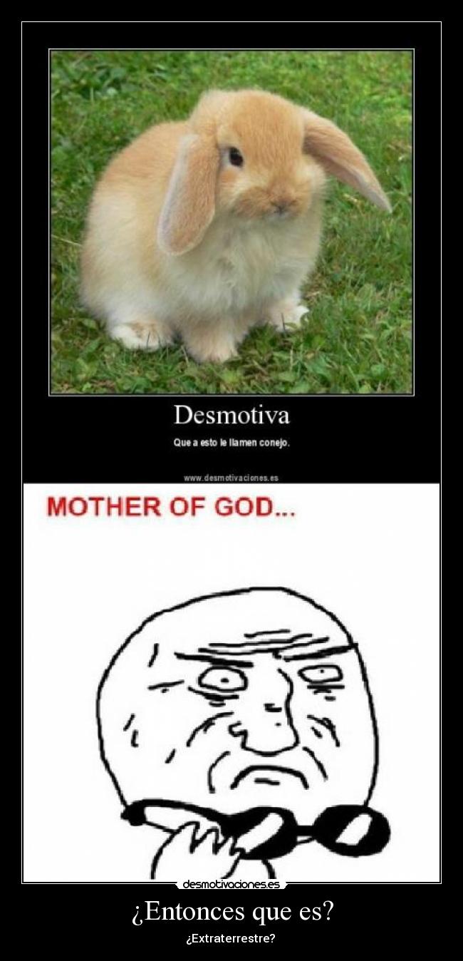 ¿Entonces que es? - ¿Extraterrestre?