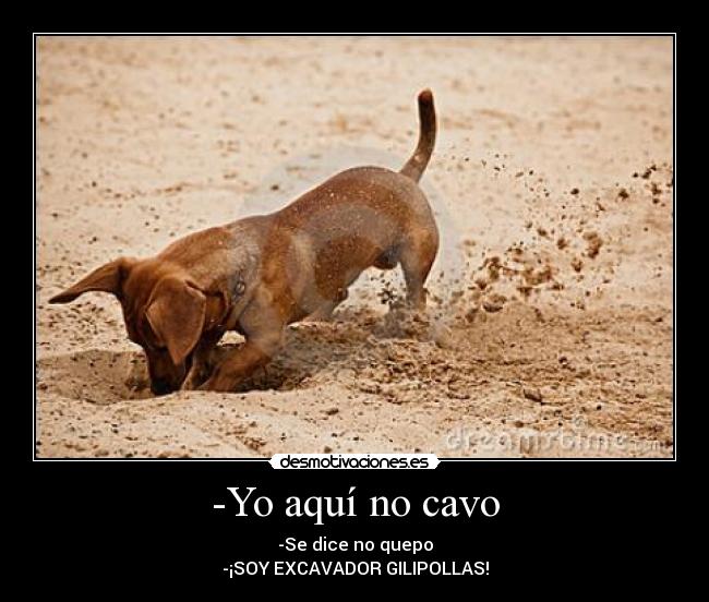 -Yo aquí no cavo - -Se dice no quepo
-¡SOY EXCAVADOR GILIPOLLAS!