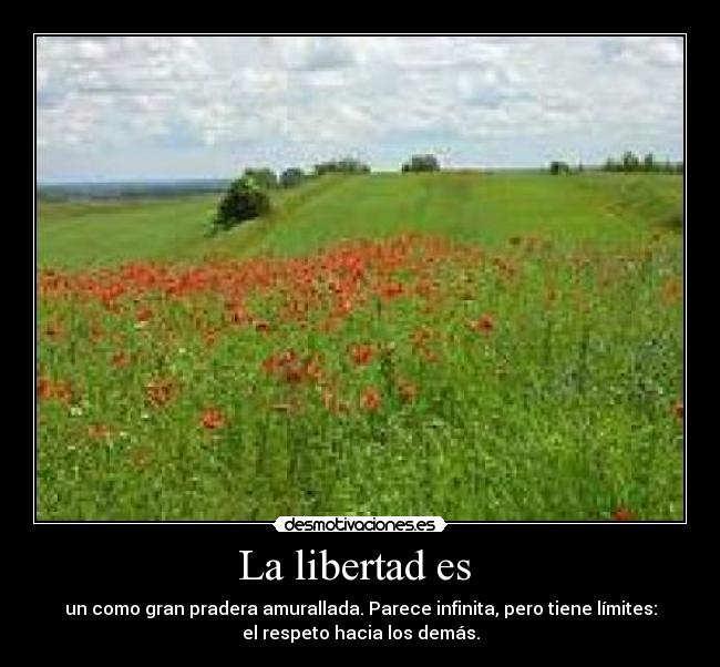 La libertad es  - 