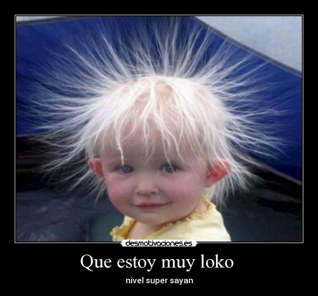 Que estoy muy loko  - 