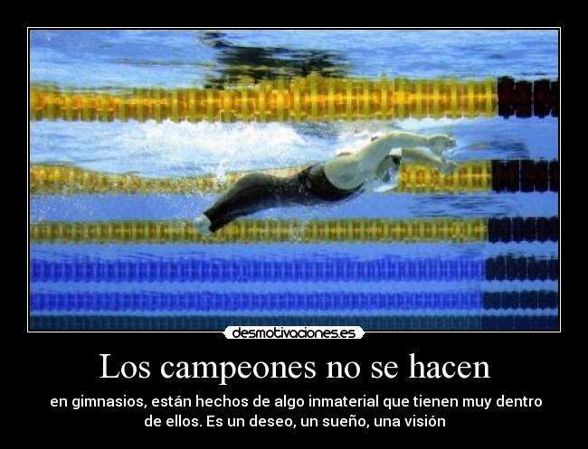 carteles los campeones hacen desmotivaciones