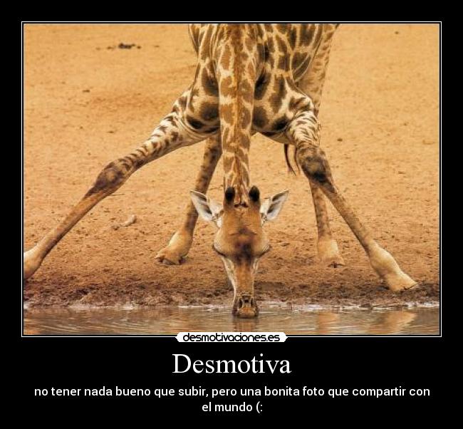 Desmotiva - 