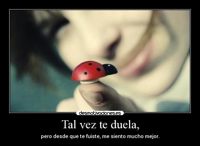Tal vez te duela, - 