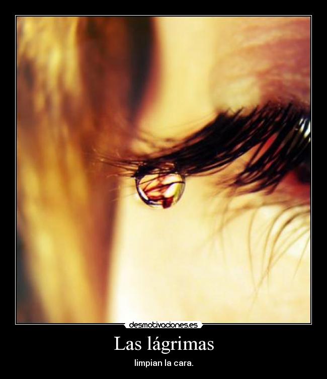 Las lágrimas - 
