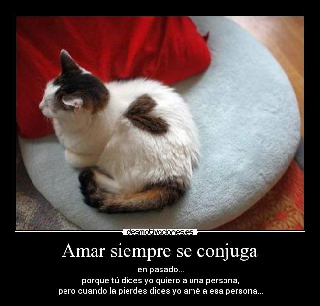 Amar siempre se conjuga -
