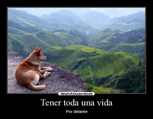 Tener toda una vida -