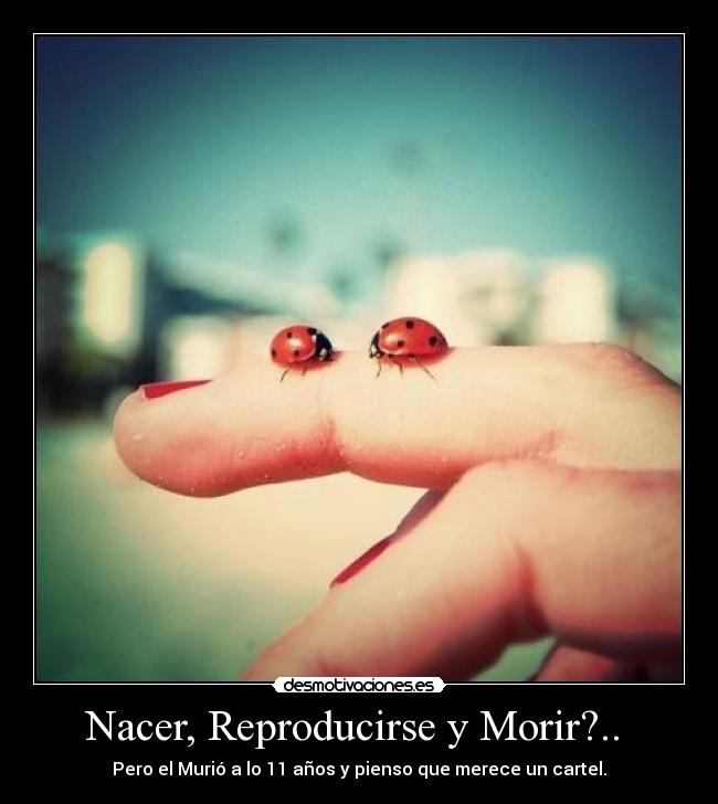 Nacer, Reproducirse y Morir?.. -