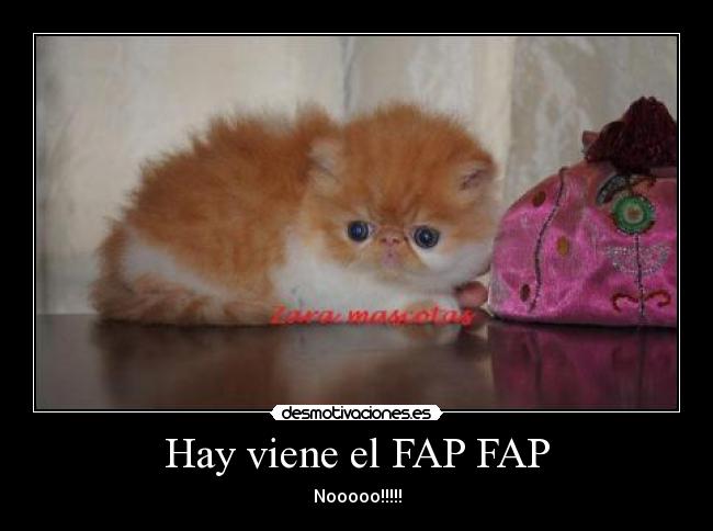 Hay viene el FAP FAP - Nooooo!!!!!