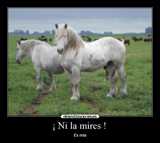 ¡ Ni la mires ! -