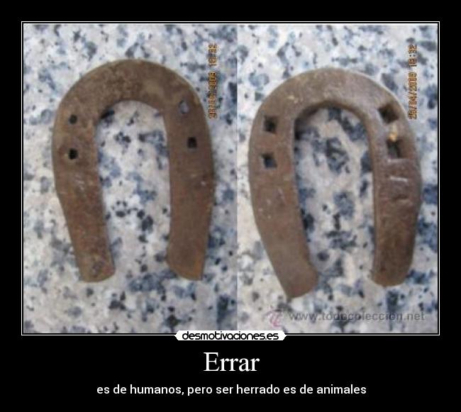 Errar - es de humanos, pero ser herrado es de animales