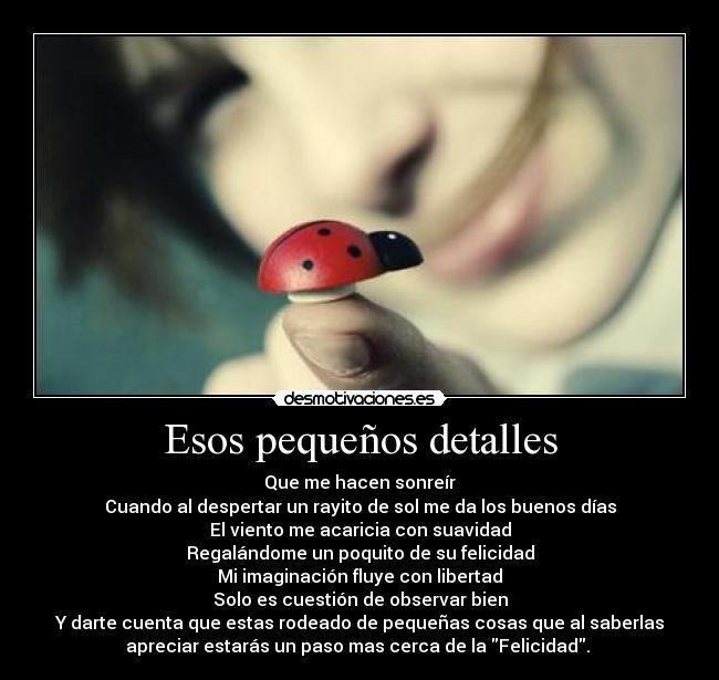 Esos pequeños detalles - Que me hacen sonreír
Cuando al despertar un rayito de sol me da los buenos días
El viento me acaricia con suavidad
Regalándome un poquito de su felicidad
Mi imaginación fluye con libertad
Solo es cuestión de observar bien
Y darte cuenta que estas rodeado de pequeñas cosas que al saberlas
apreciar estarás un paso mas cerca de la Felicidad. 