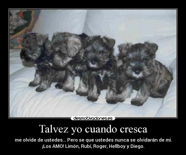 Talvez yo cuando cresca -