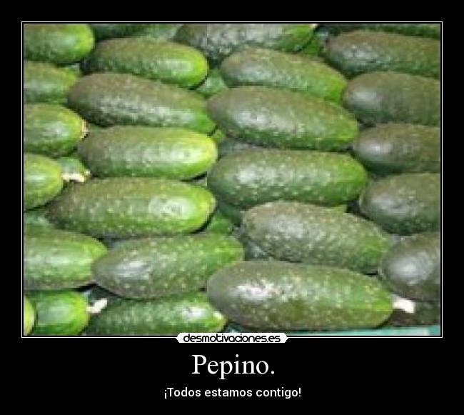Pepino. - 