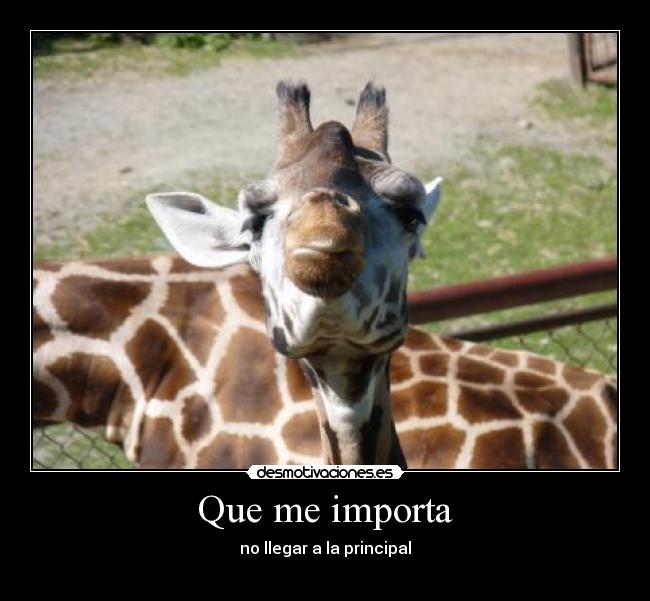 Que me importa -