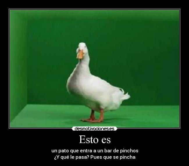 Esto es - un pato que entra a un bar de pinchos
¿Y qué le pasa? Pues que se pincha