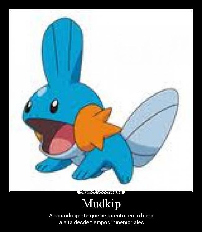 Mudkip - Atacando gente que se adentra en la hierb
a alta desde tiempos inmemoriales