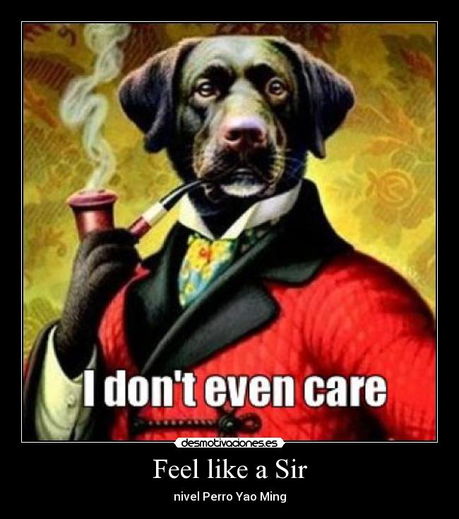 Feel like a Sir - 