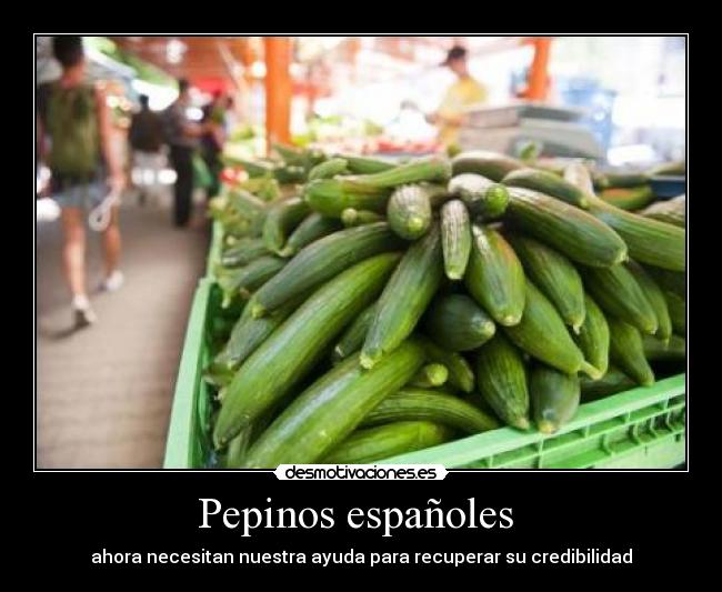 Pepinos españoles - ahora necesitan nuestra ayuda para recuperar su credibilidad