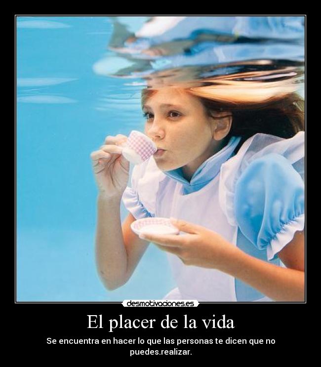 El placer de la vida - 