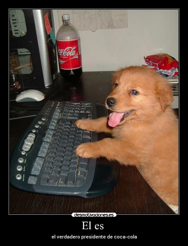 El es - el verdadero presidente de coca-cola