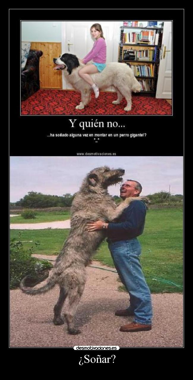¿Soñar? -