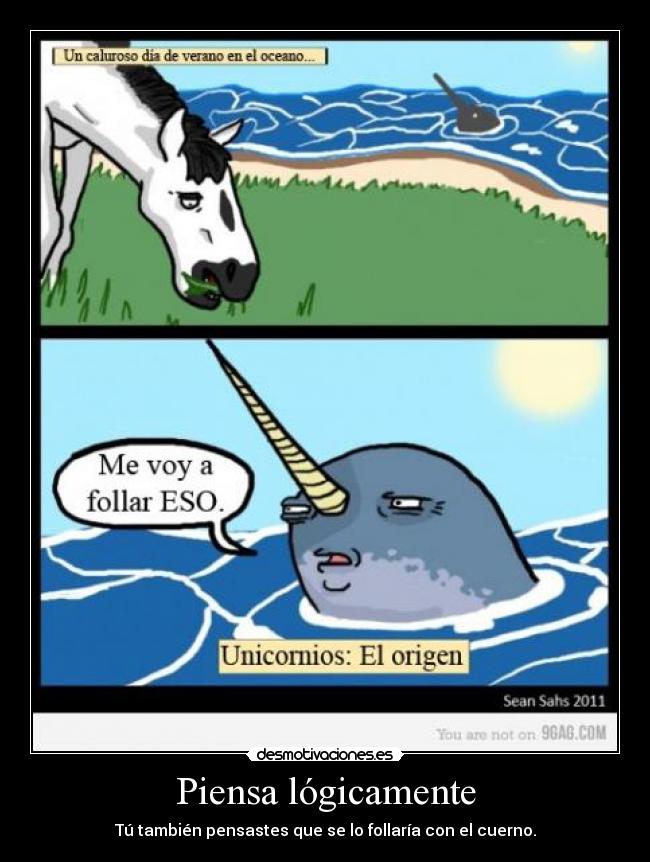 carteles pensamientos logicos unicornios bicho mar desconocido desmotivaciones