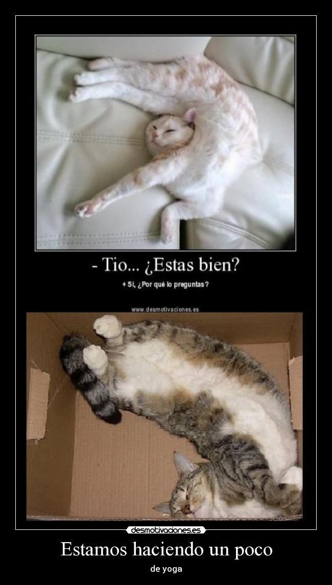 Estamos haciendo un poco - de yoga