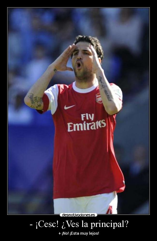 carteles cesc desmotivaciones