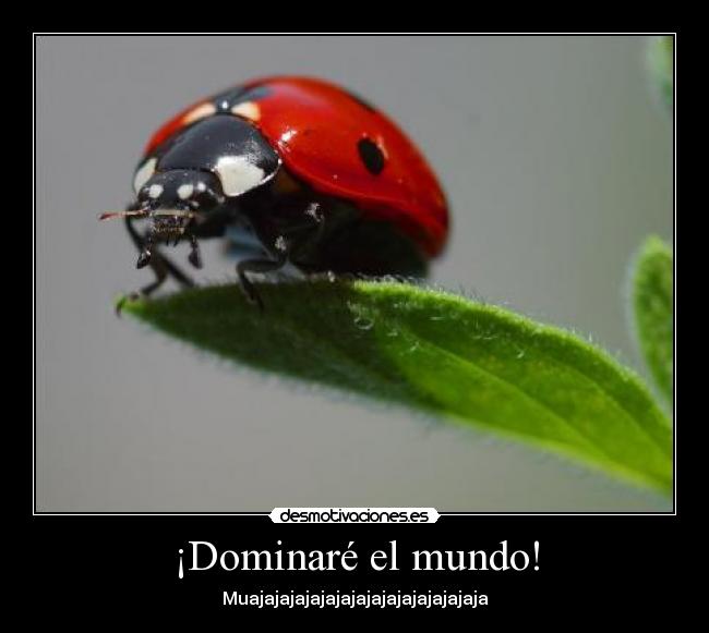 ¡Dominaré el mundo! -