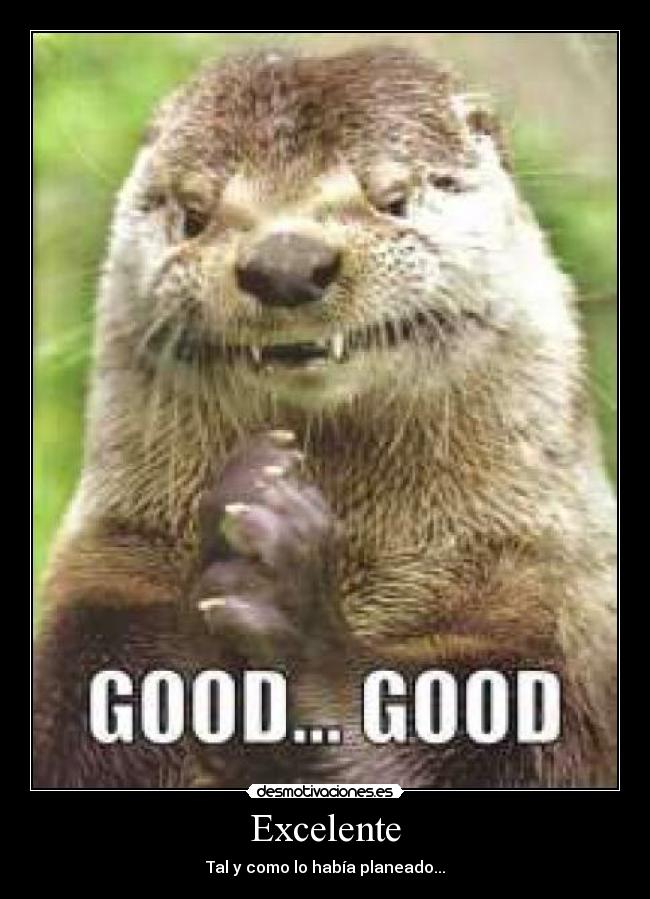 Excelente -