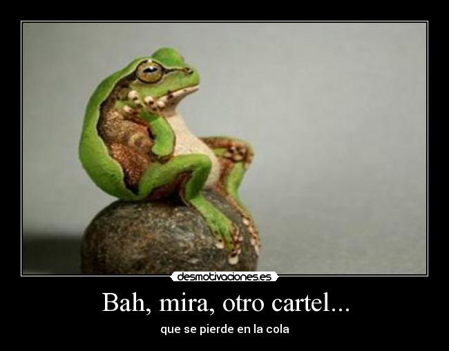 carteles cartel cola cola principal principal sapo rana aburrido desmotivaciones