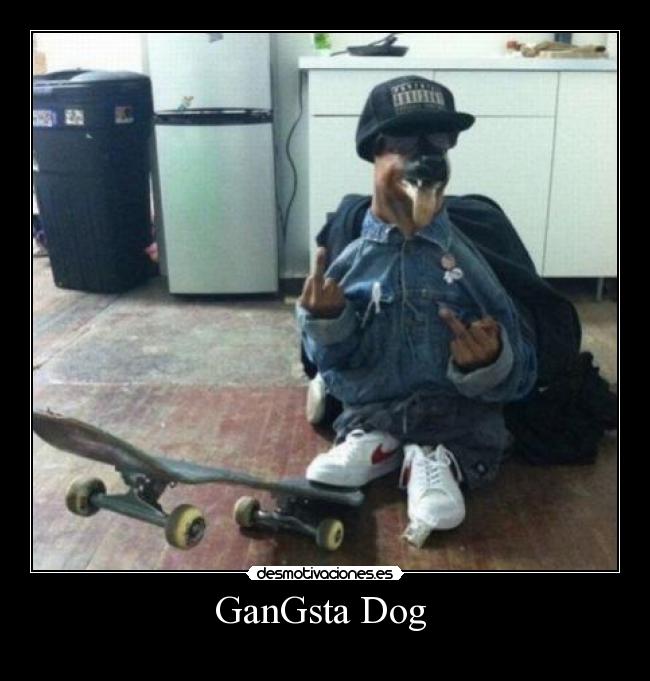 GanGsta Dog -