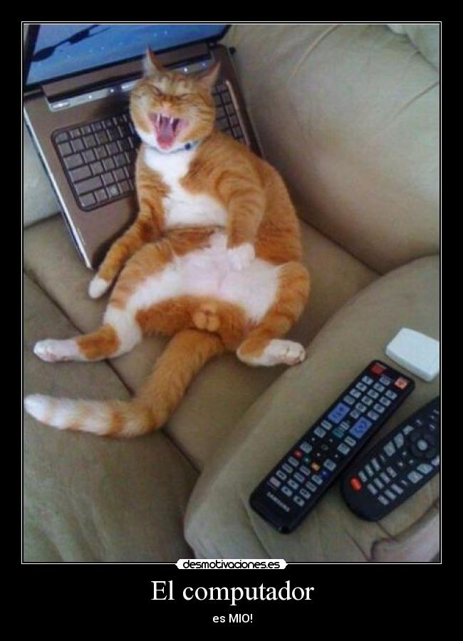 El computador - es MIO!