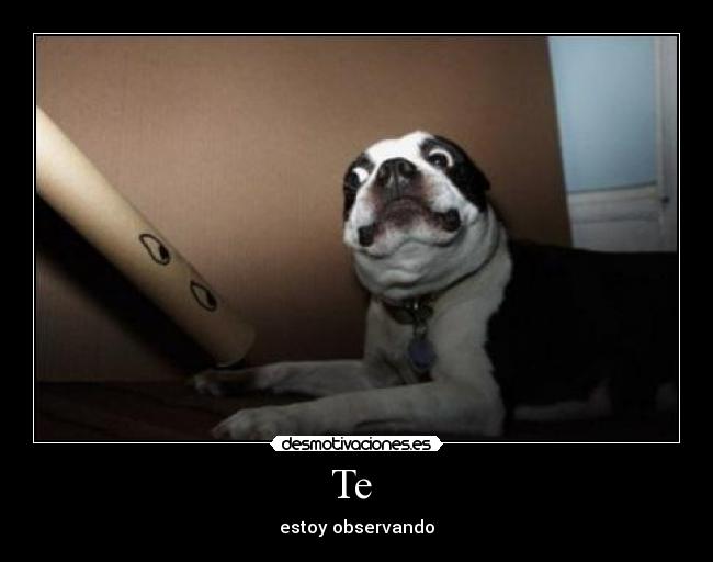 Te  - estoy observando
