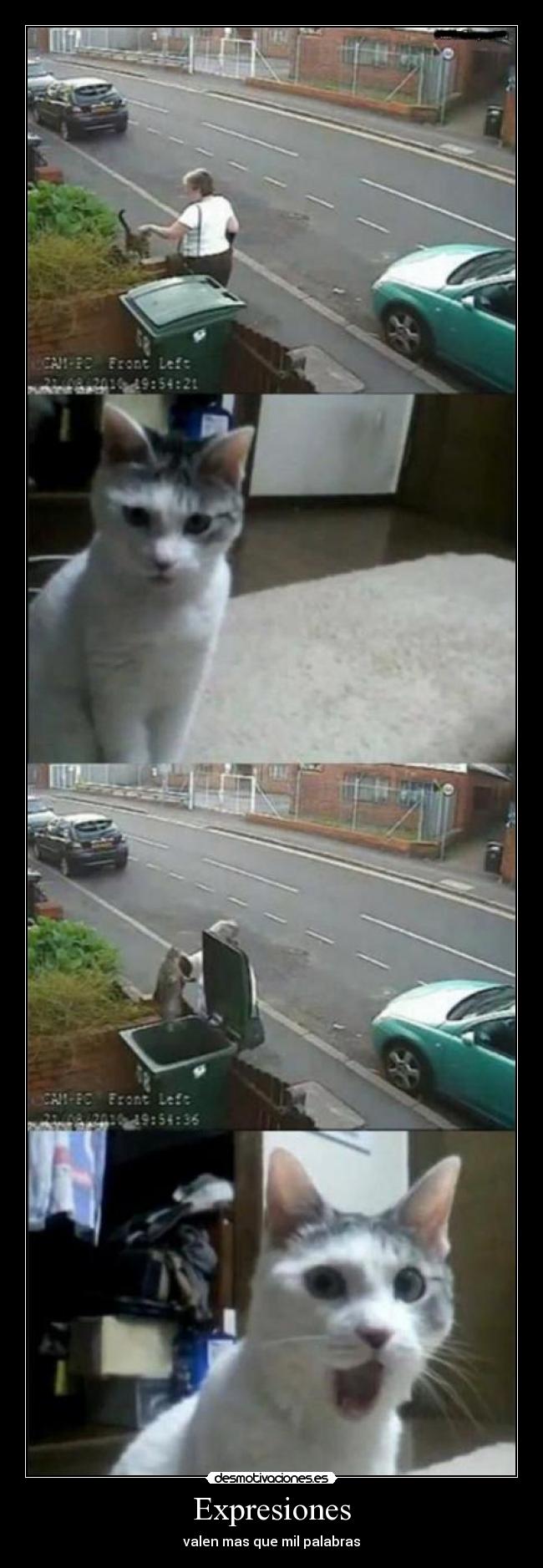 Expresiones - valen mas que mil palabras