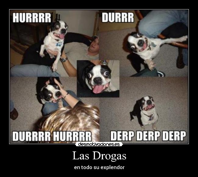 Las Drogas - 