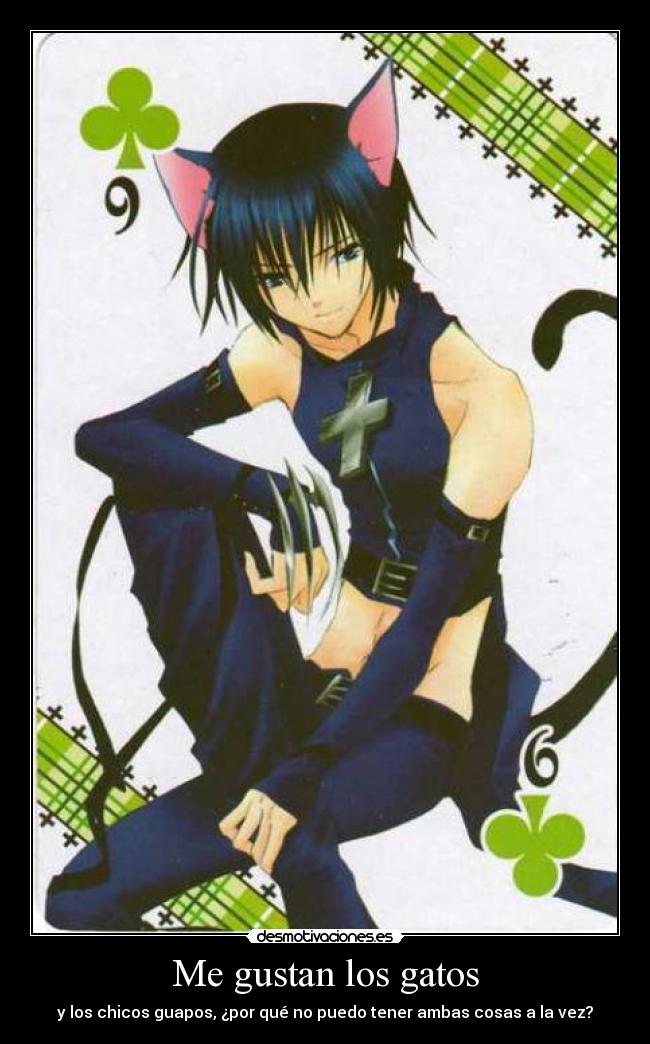 Me gustan los gatos -