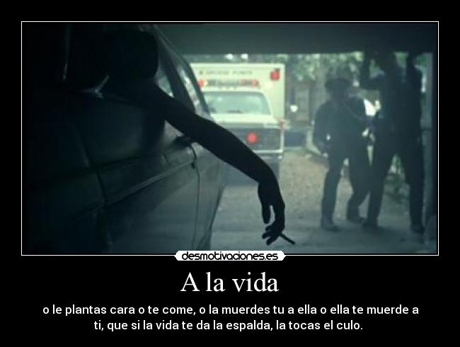 A la vida -